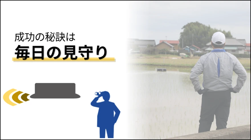 アイガモロボの抑草効果を最大限に引き出すための毎日の確認を示す画像。水位やロボットの状態、苗の様子をチェックする重要性を強調。