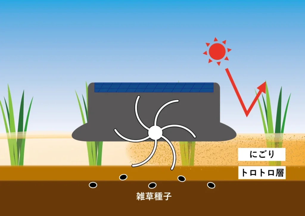 アイガモロボの効率的な抑草機能が水田に作用する仕組み