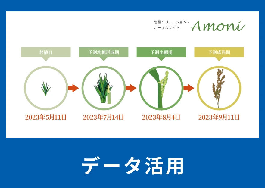 ISEKIのAmoniを使った水稲生育予測の予測結果イメージ。データを活用した農業を実践するイメージ。