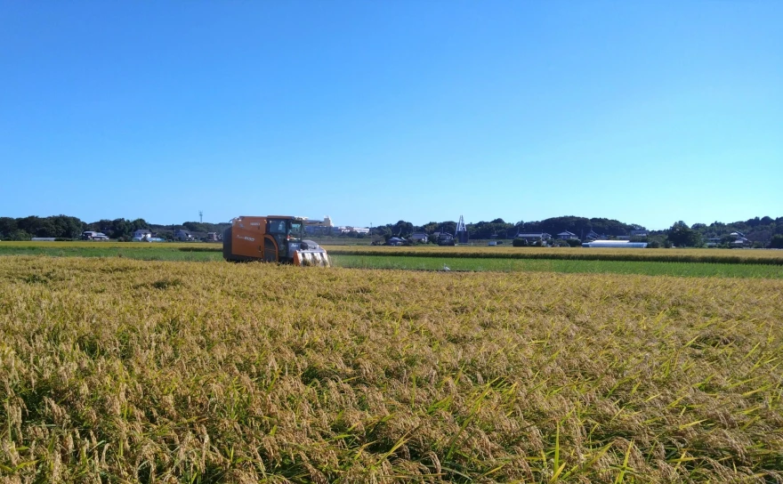 中干し期間を一週間延長した圃場の収穫作業。地域の平均収量は確保でき、中干し期間を延長することによる生育への影響はなかったことを紹介している。