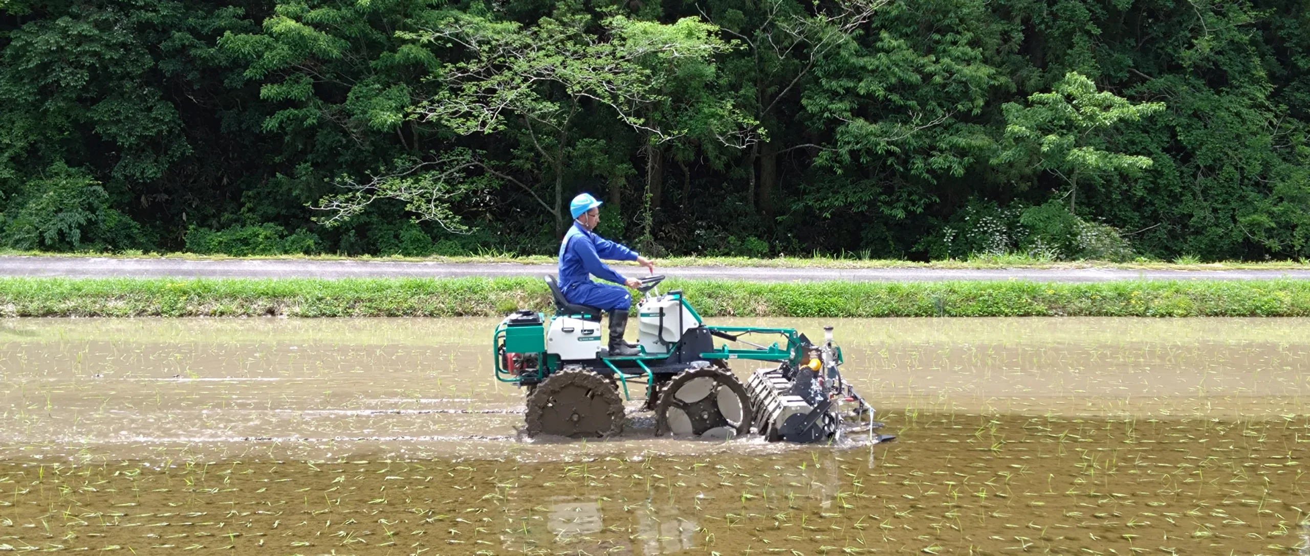 除草剤に頼らない水田雑草対策に挑戦