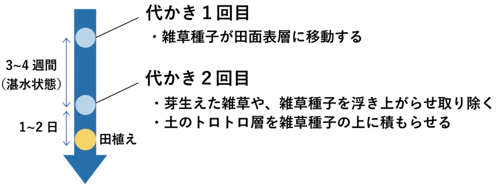 除草剤を使わない栽培体系で、複数回代かきが雑草対策に有効な理由を説明した図