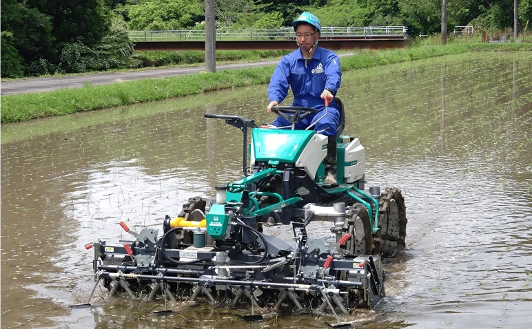 オーレック社の水田除草機「WEED MAN」を井関農機の社員が操作している様子。機械除草の作業適期を示している。