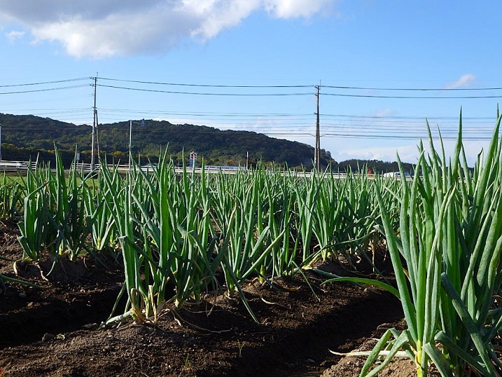 地域の担い手として～大分の写真館より～