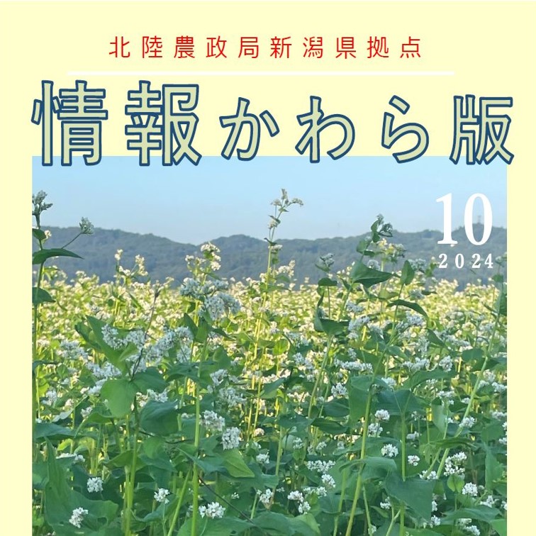 【新潟県拠点情報かわら版】10月号の掲載のお知らせ