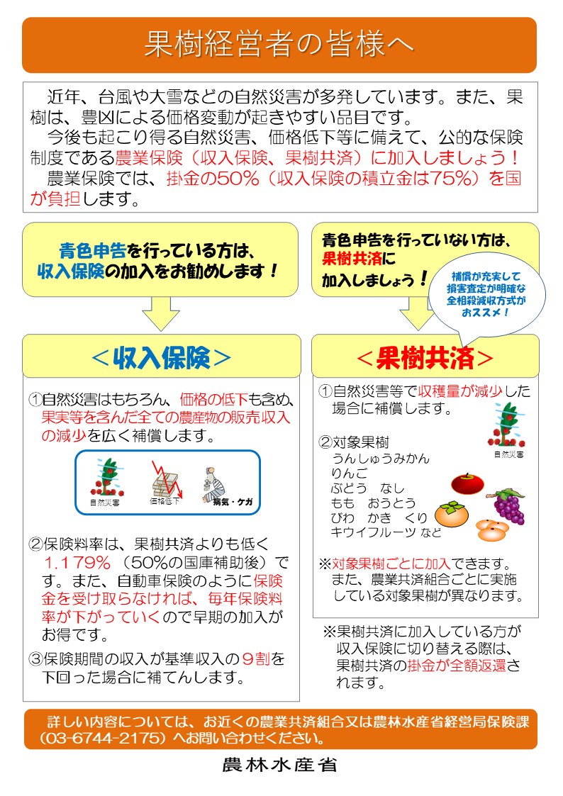 びわを栽培している皆様　自然災害等に備えて農業保険(果樹共済又は収入保険）に加入しましょう！