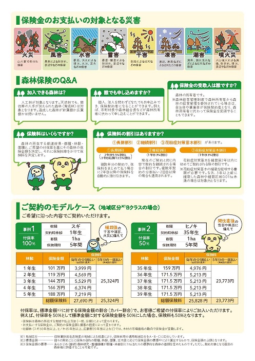 【防災】森林保険に加入し、台風や集中豪雨、火災などの万が一の災害に備えましょう