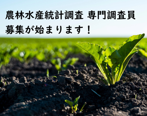 農林水産統計調査「専門調査員」の令和７年度募集が始まります！