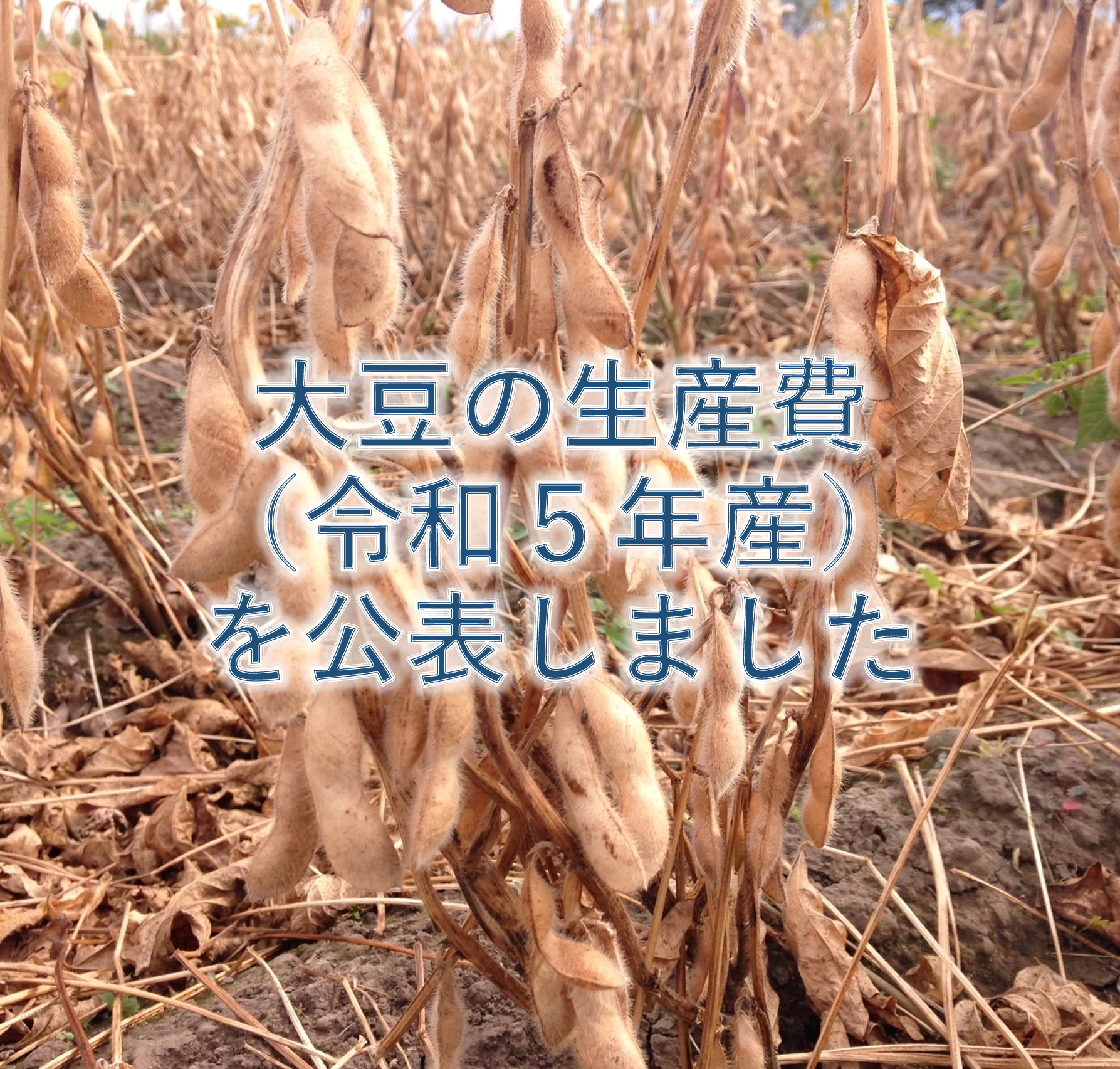 大豆の生産費（令和5年産）を公表しました