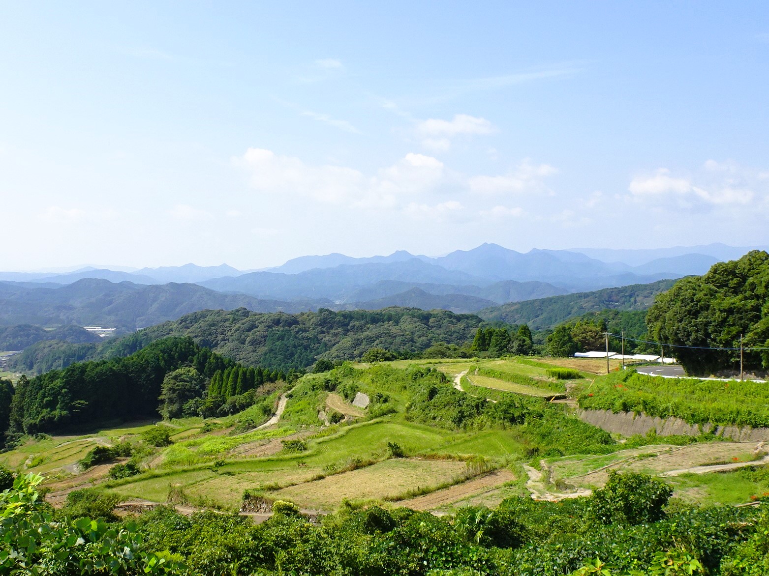 【ご紹介！】「タナディアンロッキー」で棚田米の収穫が始まる!（佐賀県武雄市）