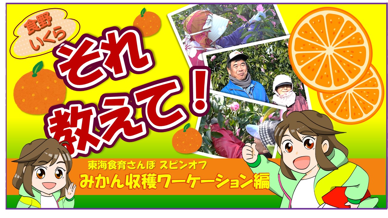 東海食育さんぽ「みかん収穫ワーケーションによる交流促進！」配信スタート！