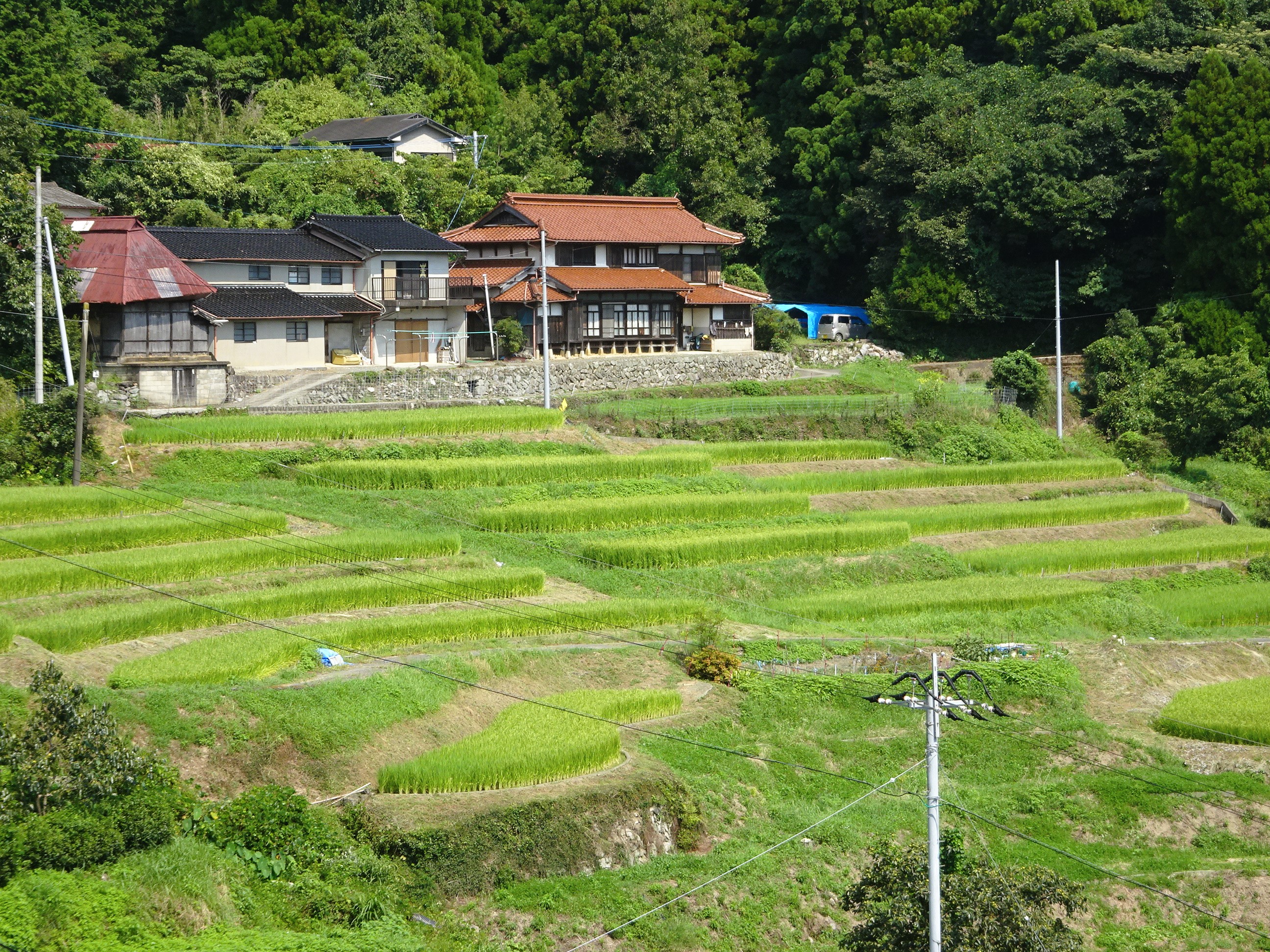 【ご紹介！】つなぐ棚田遺産「江里山の棚田」（佐賀県小城市）