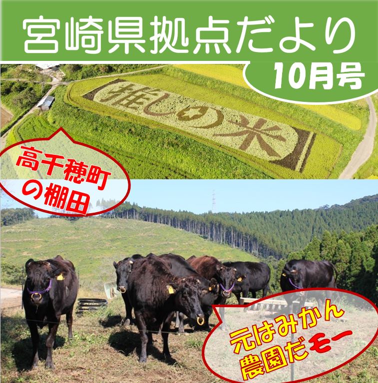 「宮崎県拠点だより NO.40  10月号」 を発行しました！