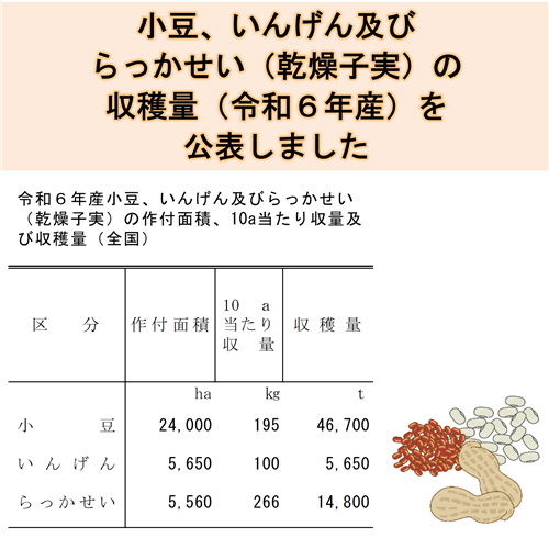 小豆、いんげん及びらっかせい（乾燥子実）の収穫量（令和6年産）を公表しました