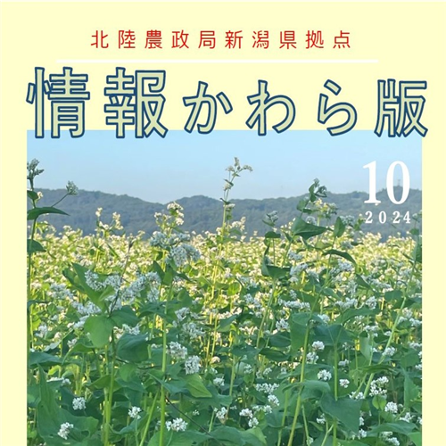 【新潟県拠点情報かわら版】10月号の掲載のお知らせ