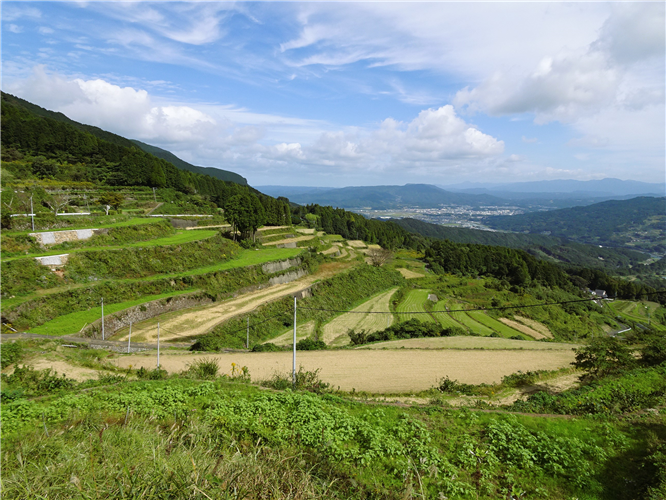 【ご紹介!】「岳（たけ）の棚田」と「山谷（やまだに）のコスモス棚田」（佐賀県有田町）