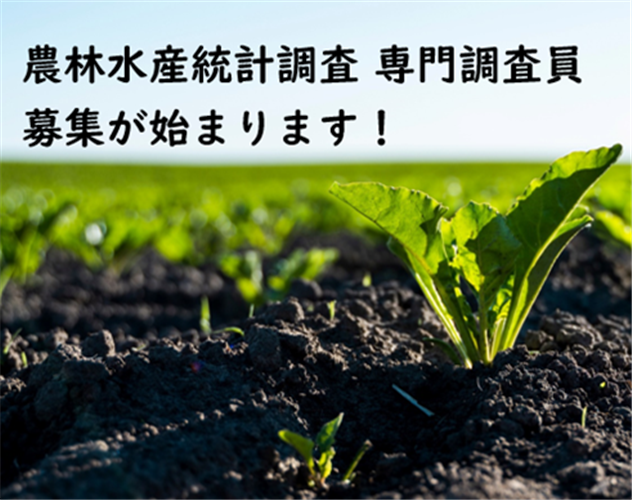 農林水産統計調査「専門調査員」の令和７年度募集が始まります！