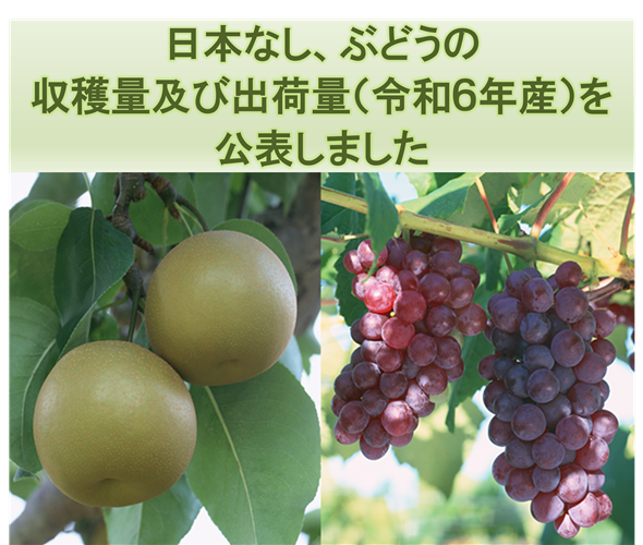 日本なし、ぶどうの収穫量及び出荷量（令和6年産）を公表しました