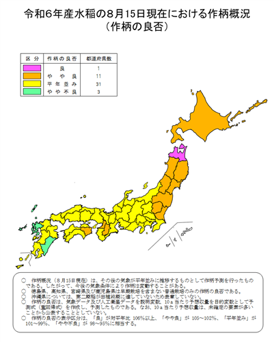 水稲の8月15日現在における作柄概況（令和６年産）を公表しました