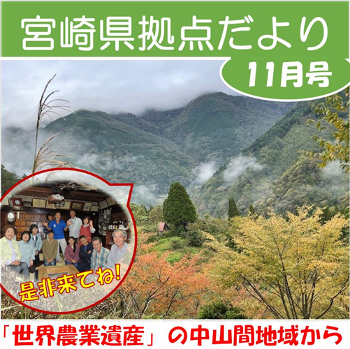 「宮崎県拠点だより №41  11月号」 を発行しました！