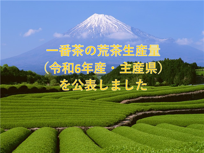 一番茶の荒茶生産量（令和6年産・主産県）を公表しました