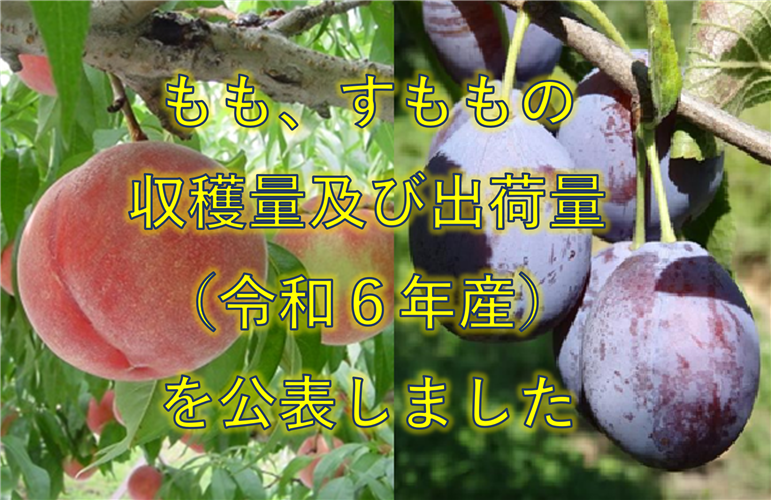 もも、すももの収穫量及び出荷量（令和6年産）を公表しました