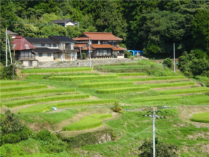 【ご紹介！】つなぐ棚田遺産「江里山の棚田」（佐賀県小城市）