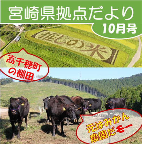 「宮崎県拠点だより NO.40  10月号」 を発行しました！