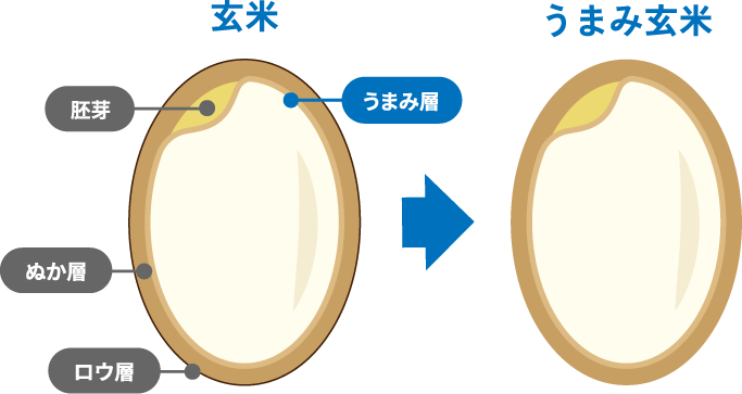 玄米からうまみ玄米へ